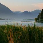 万相之王:逆天崛起的传奇之路 yl7931